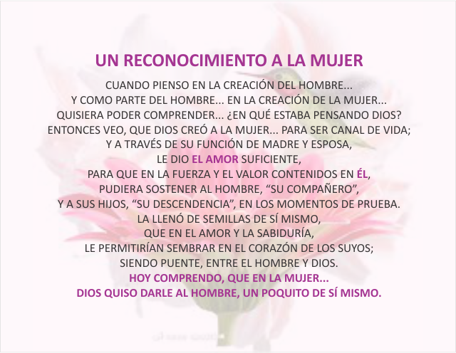Un reconocimiento a la mujer